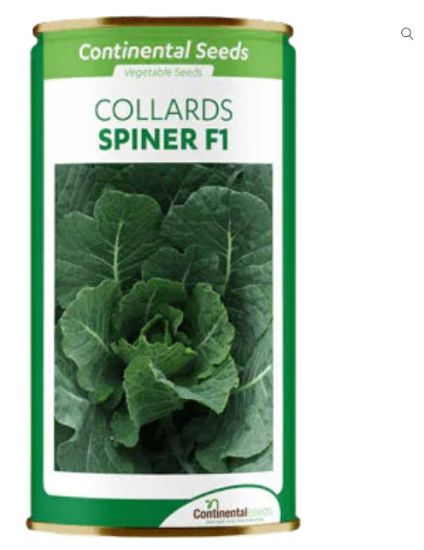 Picture of SPINER F1 COLLARDS 25G