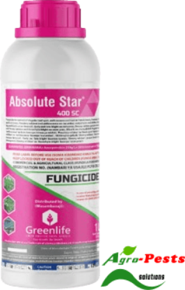 Picture of Absolute Star 400 SC