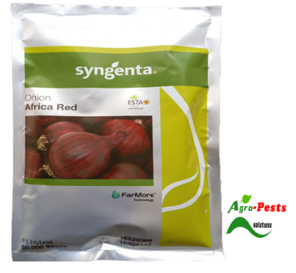 Picture of Africa Red