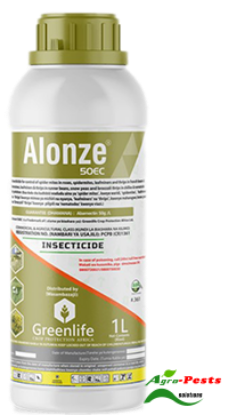 Picture of Alonze