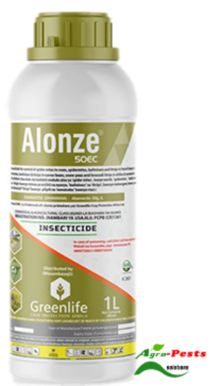 Picture of Alonze