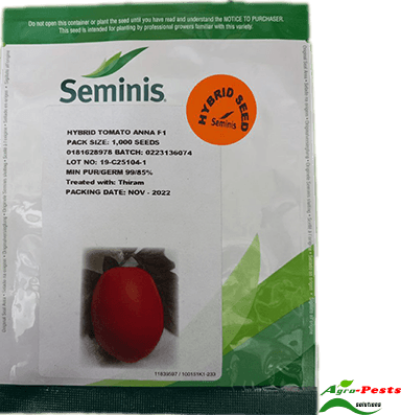 Picture of Anna F1