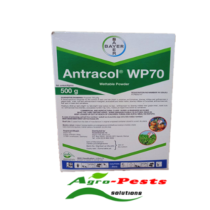 Picture of Antracol WP 70