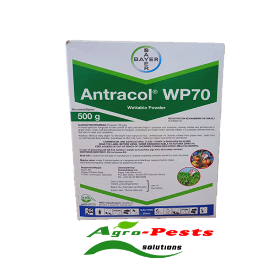 Picture of Antracol WP 70