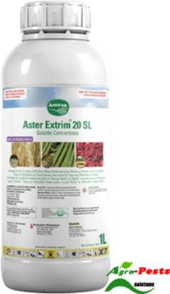Picture of Aster Extrim