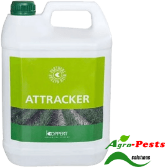 Picture of Attracker