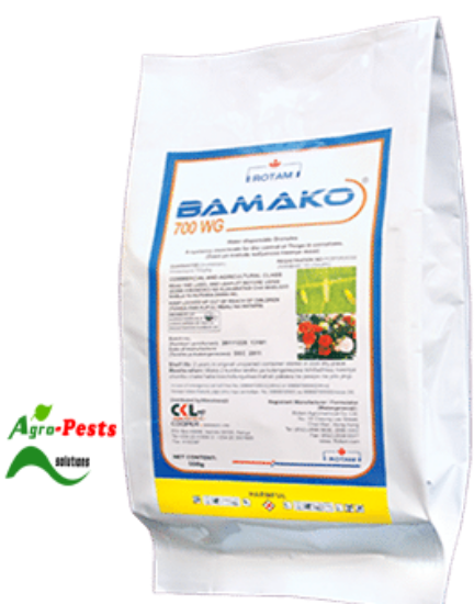 Picture of Bamako