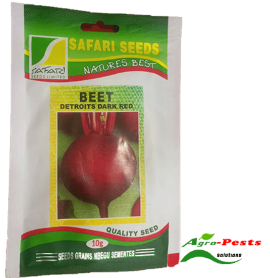 Picture of Beet Detroits Dark Red