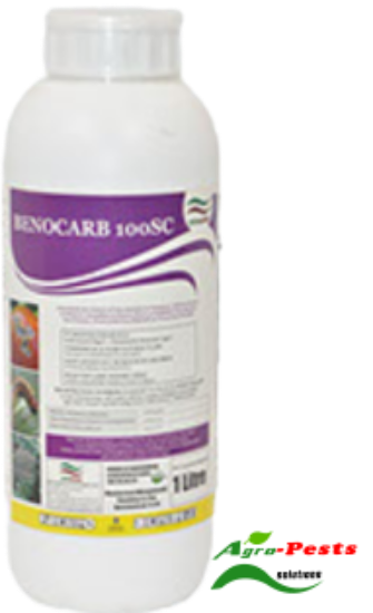 Picture of benocarb insecticide