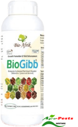 Picture of BioGibb