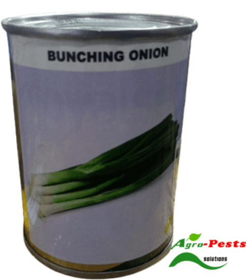 Picture of Bunching onion
