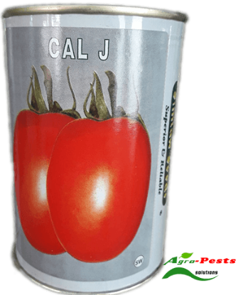 Picture of CAL J