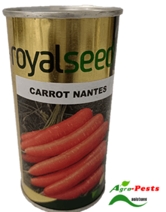 Picture of Carrot Nantes Royal Seeds