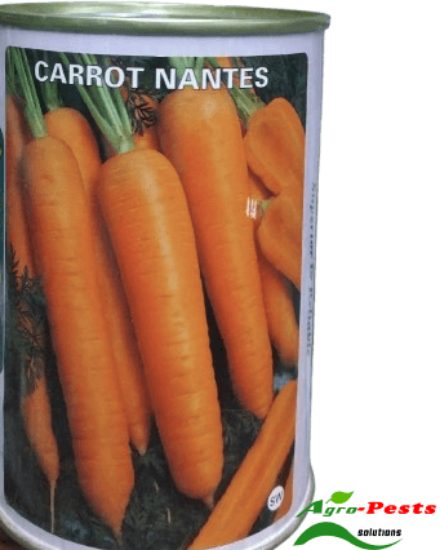 Picture of Carrot Simlaw