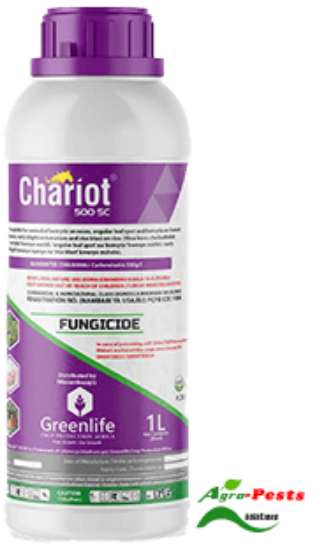 Picture of Chariot