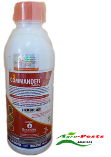 Picture of Commander 240 EC