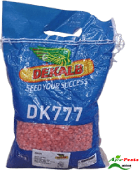 Picture of DK 777