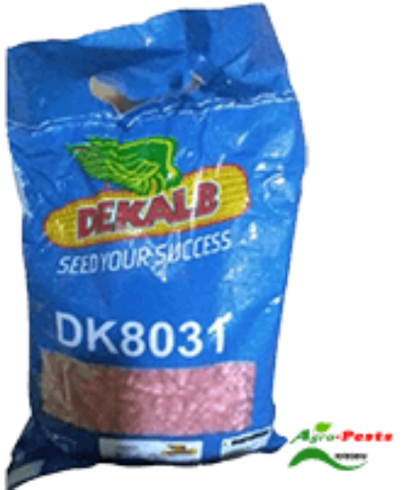 Picture of DK 8031