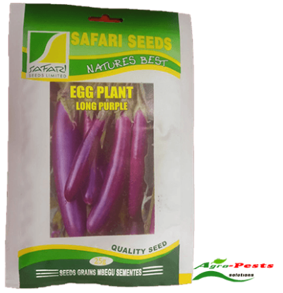 Picture of Egg plant