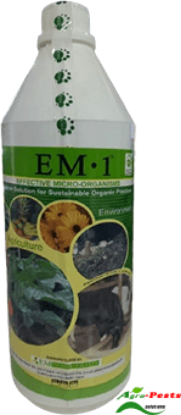 Picture of EM1