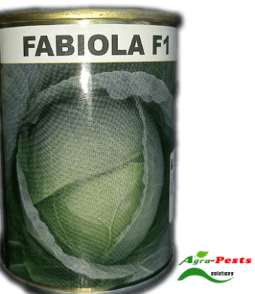 Picture of Fabiola F1