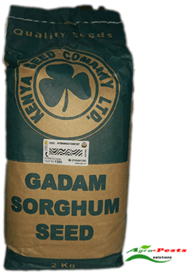 Picture of Gadam Sorghum 2kg