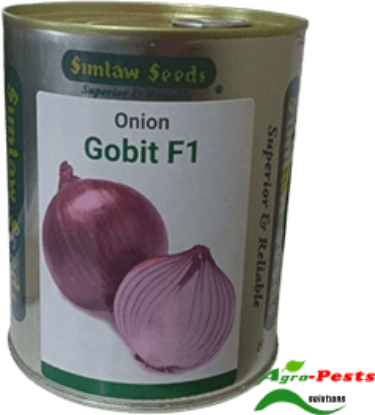 Picture of Gobit F1.jpg
