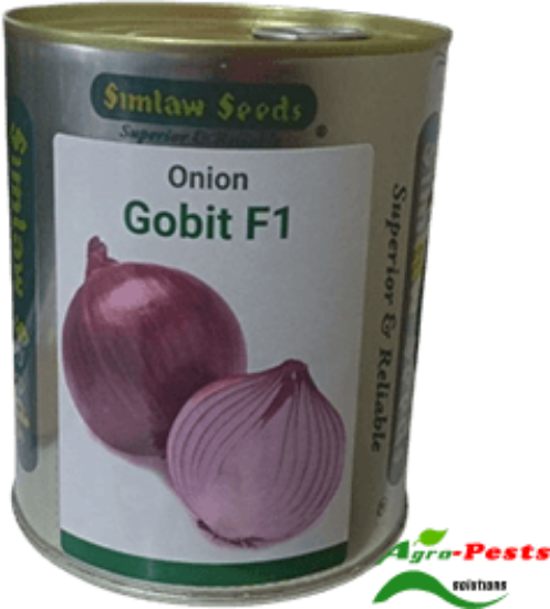 Picture of Gobit F1.jpg