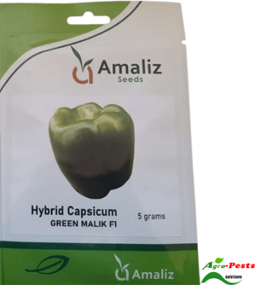 Picture of Green Malik F1