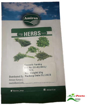 Picture of Herbs Smooth Parsley