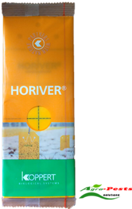 Picture of Horriver Yellow traps