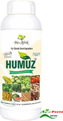 Picture of Humuz