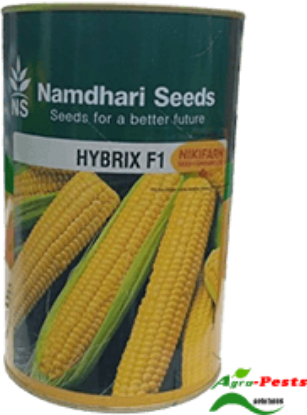 Picture of Hybrix F1