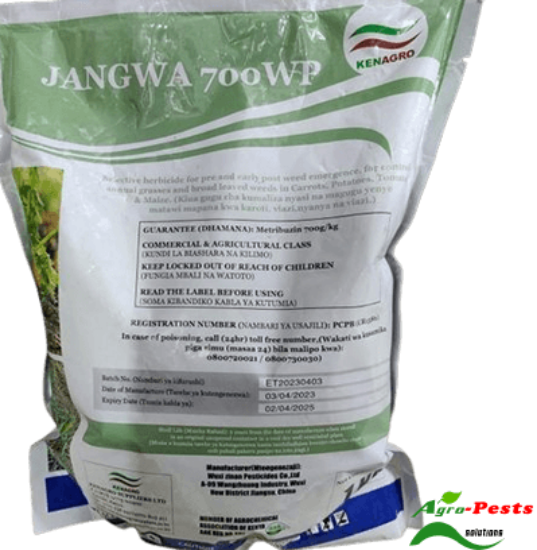 Picture of Jangwa