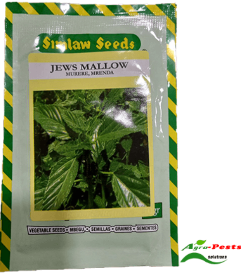 Picture of Jews Mallow