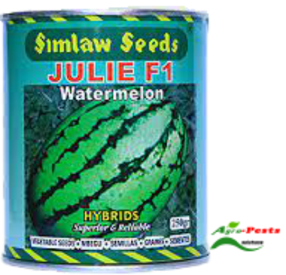 Picture of Julie F1 Watermelon