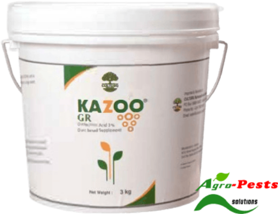 Picture of Kazoo 3Kg