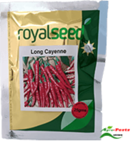 Picture of Long Cayenne Royal seeds