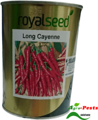 Picture of Long Cayenne Royal