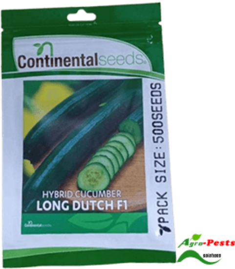 Picture of Long Dutch F1