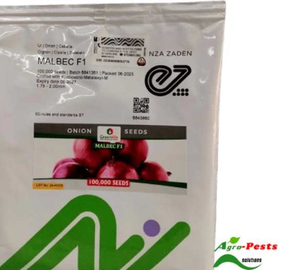 Picture of Malbec F1 Onion