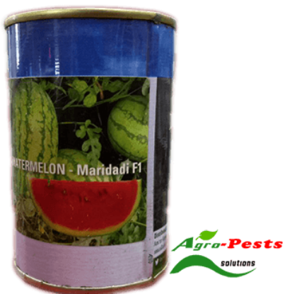 Picture of Maridadi F1 Watermelon