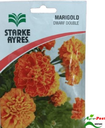 Picture of Marigold Dwarf Double