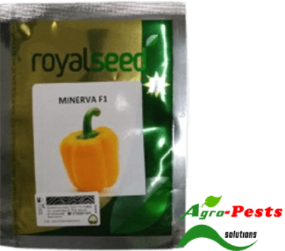 Picture of Minerva F1
