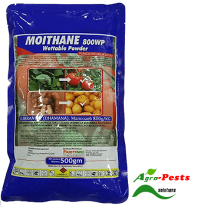 Picture of Moithane