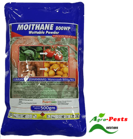Picture of Moithane