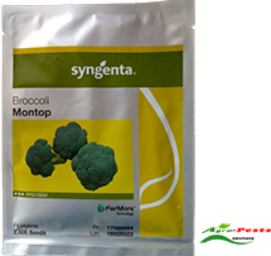 Picture of Montop Broccoli