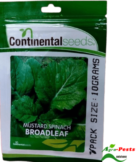 Picture of Mustard Broadleaf