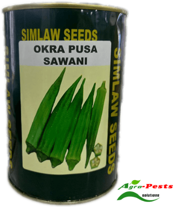 Picture of Okra Pusa Sawani Simlaw