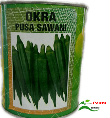 Picture of Okra Pusa Sawani